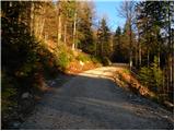 Planica (Planinšek) - Planina Ravne